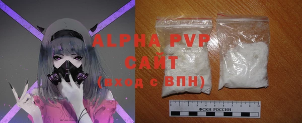 сатива Покачи
