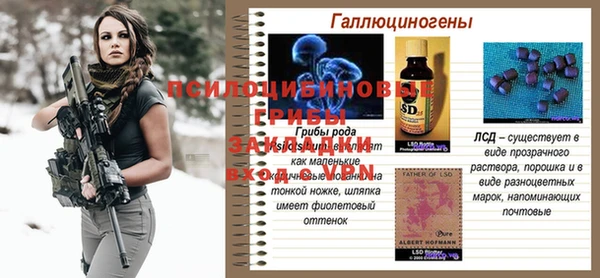 стафф Волоколамск