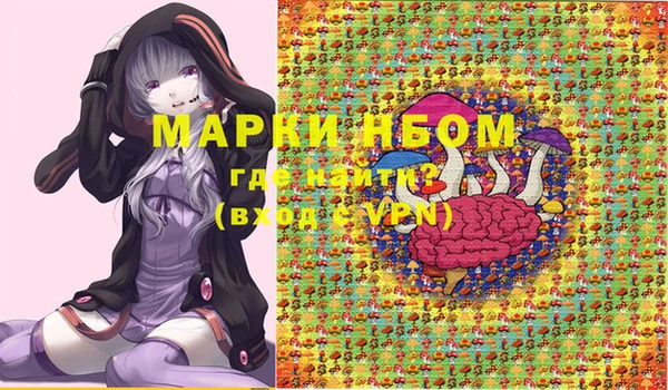 гашик Верхний Тагил